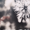 DOWNPILOT: Like You Believe It