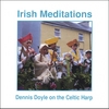DENNIS DOYLE: Irish Meditations