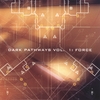 VARIOUS ARTISTS: Dark Pathways Vol. 1: Force