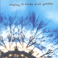 Dreambeach : Making Friends with Gravity