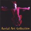DREAMCAST ENTERTAINMENT: Aerial Art Collection