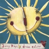 DREAM CATCHER: sunny days (single)