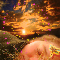 Richard Ashe : The Dreamer and Dragonfly