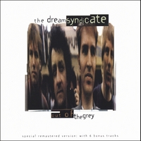 The Dream Syndicate : Out Of The Grey (deluxe edition)
