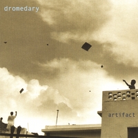 Dromedary : Artifact