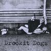 DROOKIT DOGS: Drookit Dogs