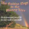 DR. JULIE TRUDEAU: 2 cd SET / THE GOLDEN KEYS to the money tree & SPECIAL SECRETS in Being an Oasis of Wellbeing: spoken word + contemporary music