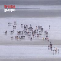 DRUIDAS: Druidas
