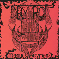 Dry Rot : Merulius Lacrymans