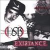 DSB: Existance