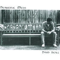 David Seale : Beautiful Mess