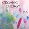 DUBEE: Organic Energy