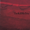 SHAYNA DULBERGER: TheKillMeTrio