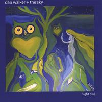 dan walker + the sky : Night Owl