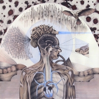 Dan Wallace : Reattachment