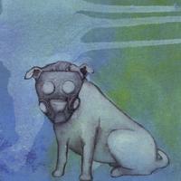 Dorkweed : Sometimes Animals Die