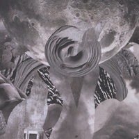 Eddy Dyer : ...Into Doves of Grey