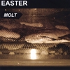 EASTER: Molt