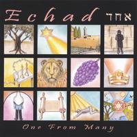 ECHAD: One From Many