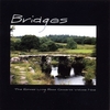 VARIOUS ARTISTS: Bridges: The Echoes Living Room Concerts Vol. 9