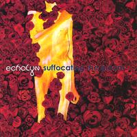 echolyn : Suffocating the Bloom