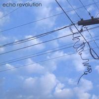 Echo Revolution : In the Wire