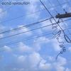 ECHO REVOLUTION: In the Wire
