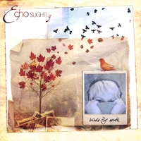 Echo Slightly : Birds Fly South