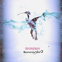 Ed Coleman : Hummingbird