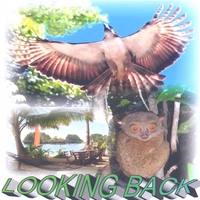 Eddie Florano : Looking Back