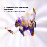 Ed Littman : Ed Littman, Mark Egan, Danny Gottlieb- Improvisations