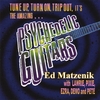 ED MATZENIK: Psychedelic Guitars