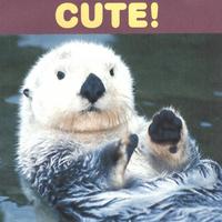 ED VIZARD: Cute