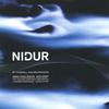 ÁRNI EGILSSON, SOLOIST. ICELAND SYMPH. ORCH. VLADIMIR ASHKENAZY: Nidur