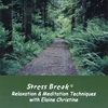 ELAINE CHRISTINE: Stress Break