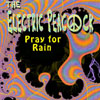 ELECTRIC PEACOCK: Pray for Rain