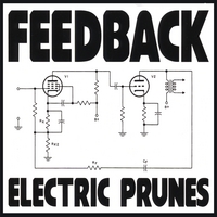 ELECTRIC PRUNES: Feedback
