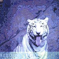 Electric Tiger : Electric Tiger