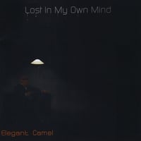 Elegant Camel : Lost in my own mind