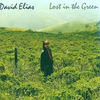 David Elias : Lost in the Green