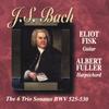 ELIOT FISK: J.S.BACH The six Trio Sonatas BWV 525-530,Guitar & Harpsichord