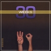ELIOT PISTER: 30 Weeks