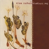 ELIZA ROSBACH: Bloodroot Red