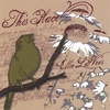 ELLIE LAVEER: This Place