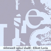 ELLIOTT LEVIN: Elliott Levin and the Black Lodge Ensemble