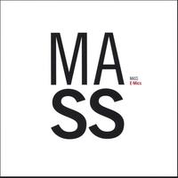 THE E-MICS: Mass