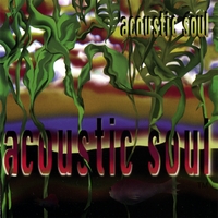 ACOUSTIC SOUL: Acoustic Soul