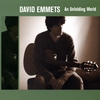 DAVID EMMETS: An Unfolding World