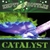 EMPTY BOTTLES: Catalyst