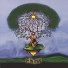 ENCHANTED APE: Off The Ground